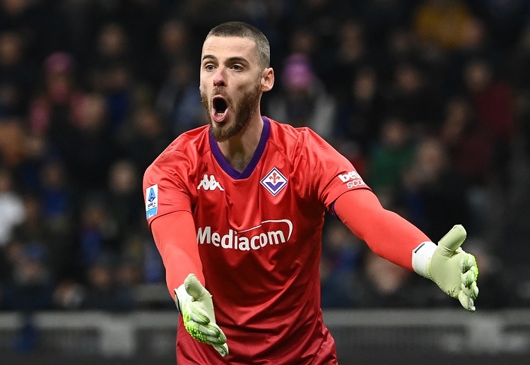 友谊赛 接受欢呼